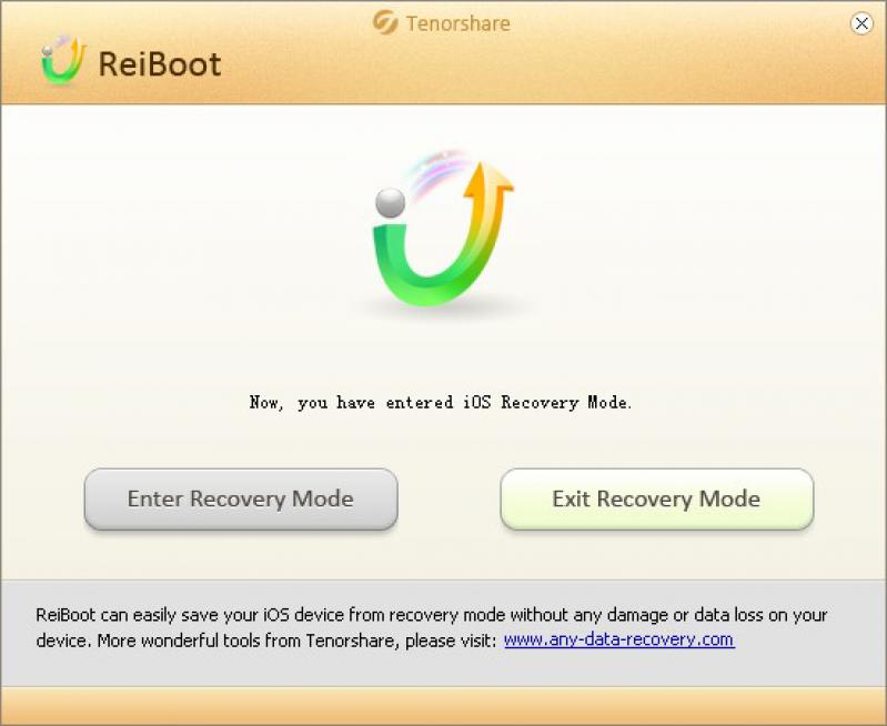 ReiBoot Pro 9.3.1.0 for apple instal